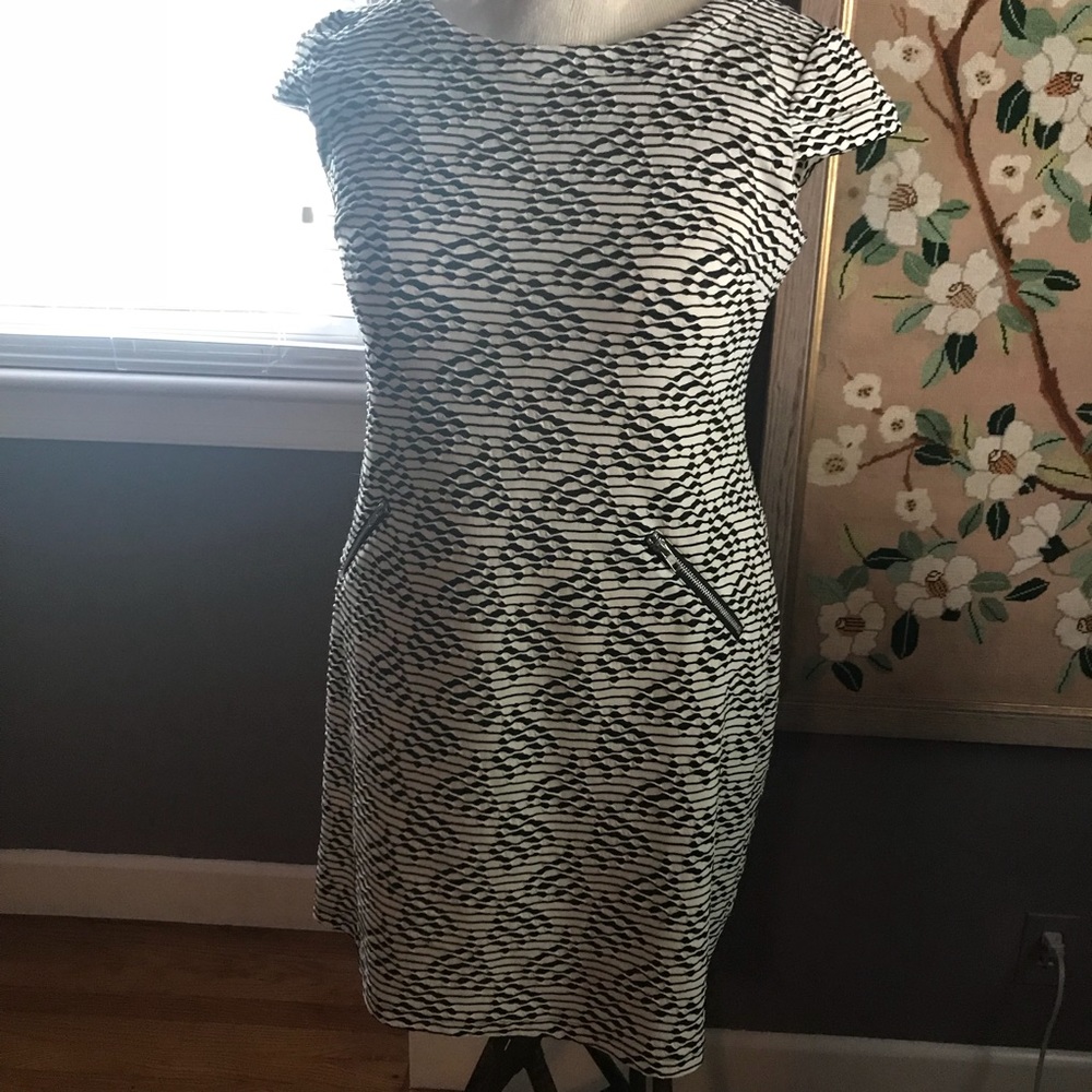 Dress Barn off white and black sheath dress 16